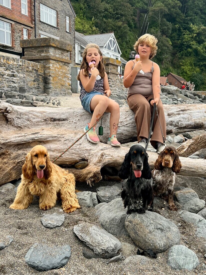 Burbs lilac & bingo 2