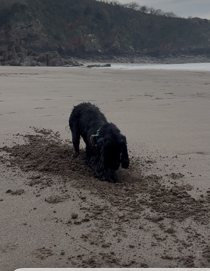 Luna beach