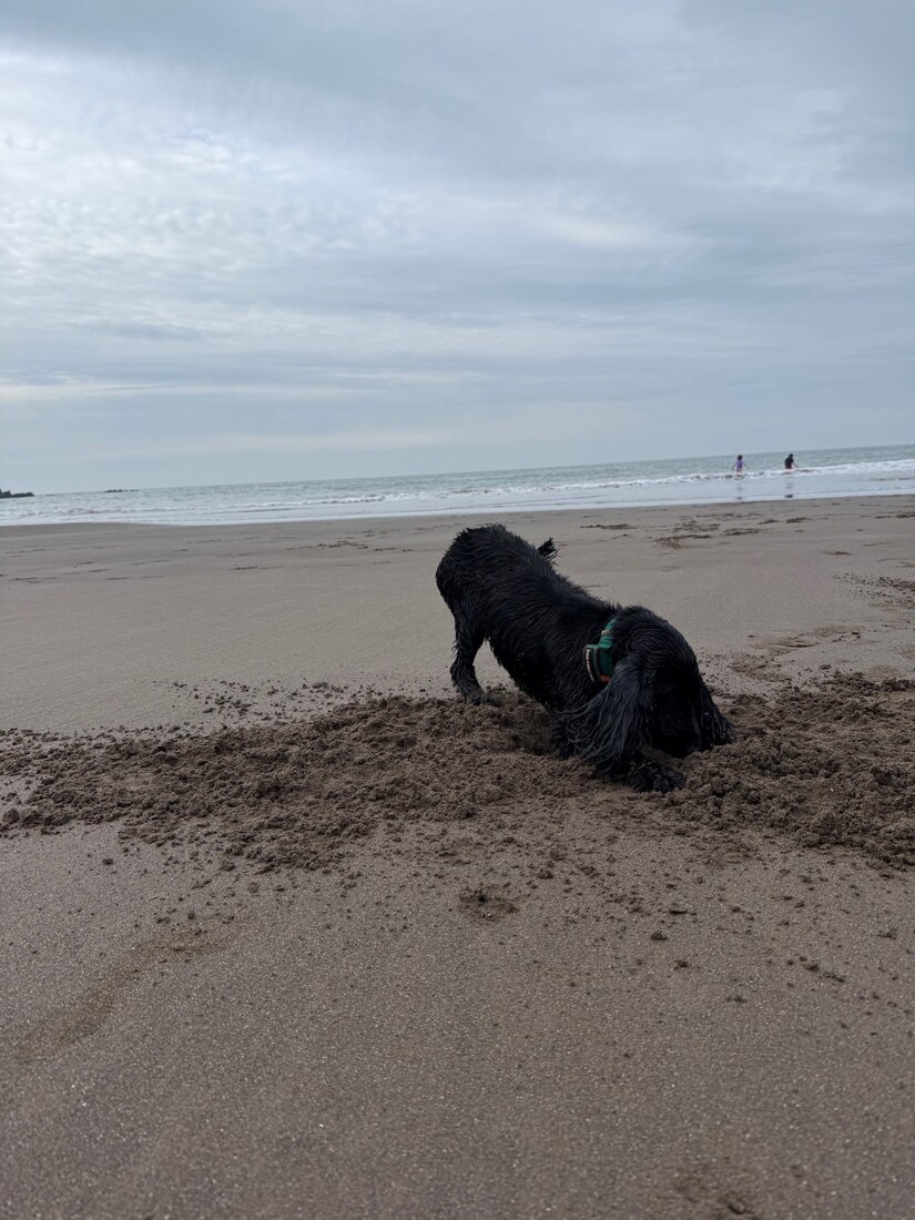 Luna dig
