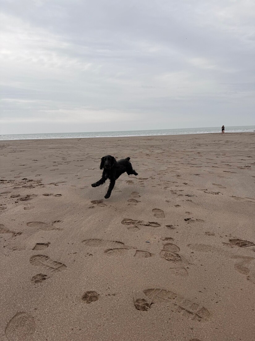 Luna run